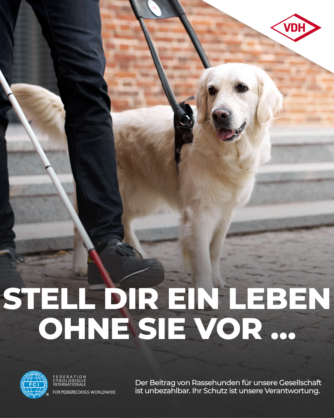 Stell dir ein Leben ohne sie vor.
