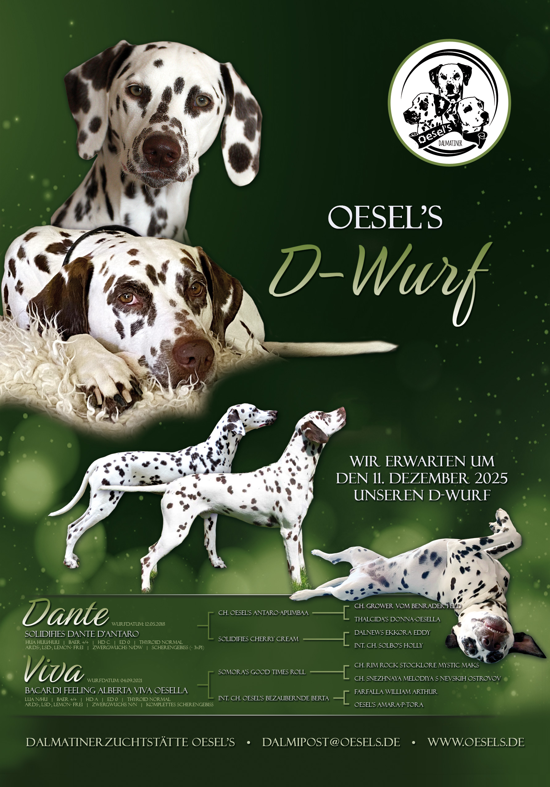 Wurfankuendigung D Wurf