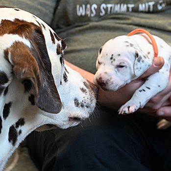 Wir starten in die 3. Lebenswoche!