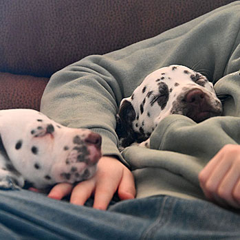 Juhuu! Wir haben Namen bekommen!